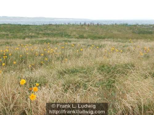 Strandhill